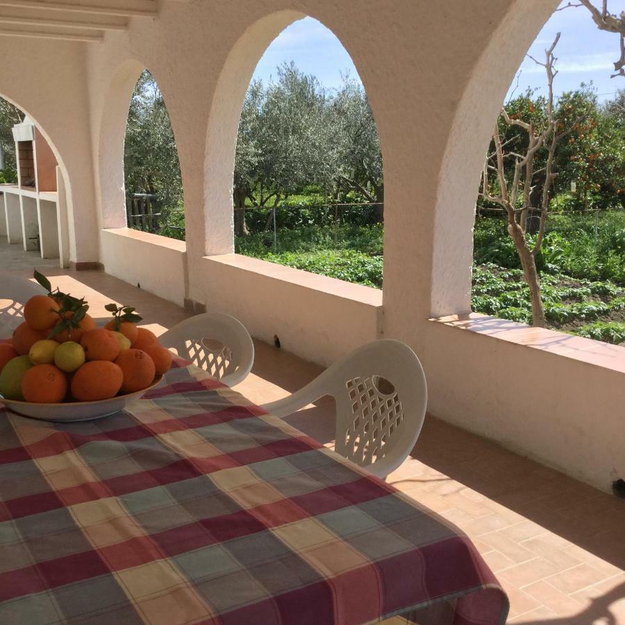 El Cortijo De La Abuela Guest House Benahadux Exterior foto