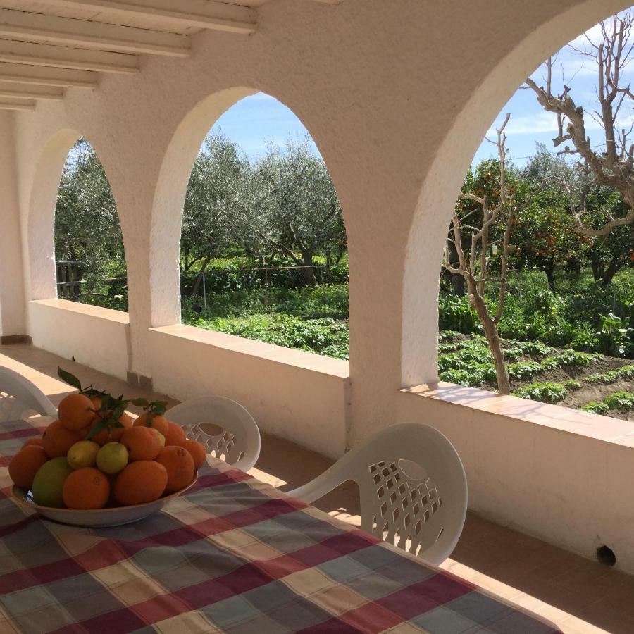 El Cortijo De La Abuela Guest House Benahadux Exterior foto